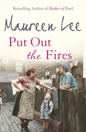 Book cover of Put Out the Fires