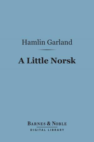 Book cover of A Little Norsk (Barnes & Noble Digital Library)
