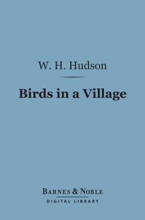 Book cover of Birds in a Village (Barnes & Noble Digital Library)