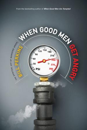 Cover of the book When Good Men Get Angry by Allison Pittman