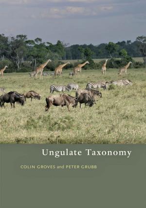 Cover of the book Ungulate Taxonomy by Glenn Blake