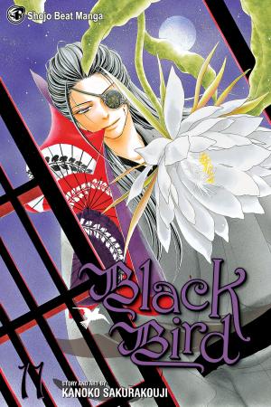 Book cover of Black Bird, Vol. 11
