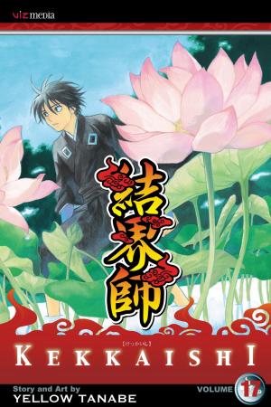 Book cover of Kekkaishi, Vol. 17