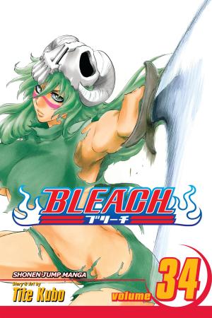 bigCover of the book Bleach, Vol. 34 by 