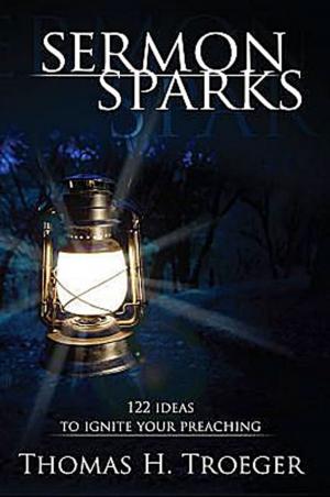Cover of the book Sermon Sparks by Evon O. Flesberg
