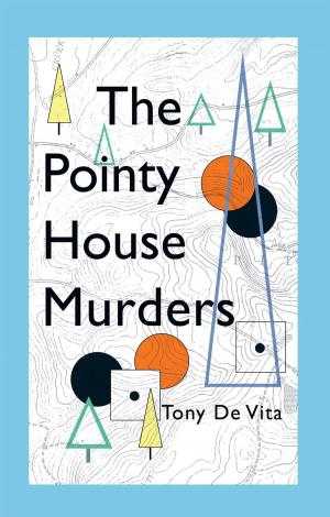 Cover of the book The Pointy House Murders by Mark J. Curran