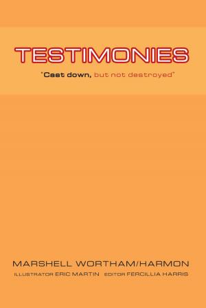 Cover of the book Testimonies by Barbara Douglass