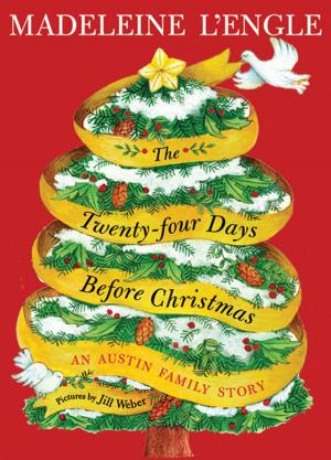 Cover of the book The Twenty-four Days Before Christmas by David Klass, Perri Klass