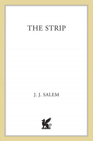 Cover of the book The Strip by E.J. Copperman