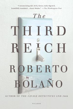 Cover of the book The Third Reich by Anthony Giardina