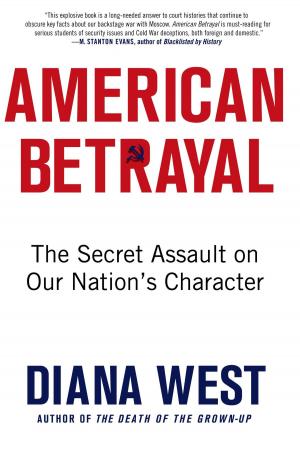 bigCover of the book An American Betrayal by 