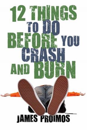 Cover of the book 12 Things to Do Before You Crash and Burn by Lane Smith