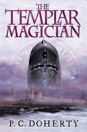 Cover of the book The Templar Magician by Carolly Erickson