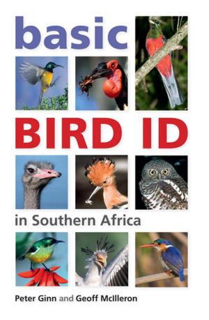 bigCover of the book Basic Bird ID in Southern Africa by 