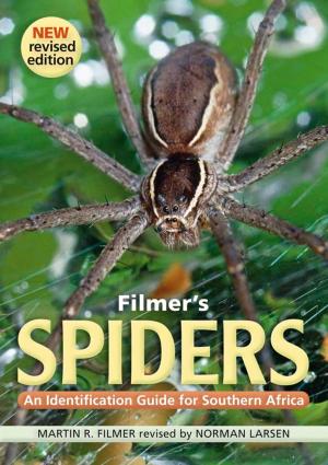 bigCover of the book Filmer's Spiders by 