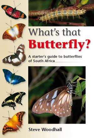 Cover of the book What's that Butterfly? by Myrna Robins