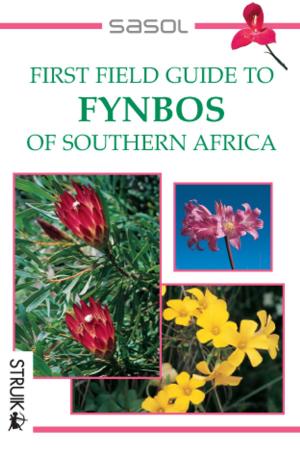 Cover of the book First Field Guide to Fynbos of Southern Africa by Melissa Delport