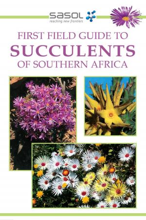 bigCover of the book First Field Guide to Succulents of Southern Africa by 