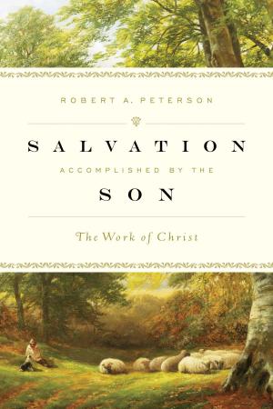 Cover of the book Salvation Accomplished by the Son by Jonathan Aitken