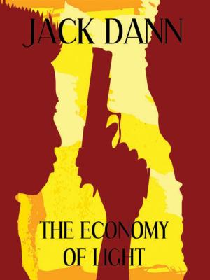 Book cover of The Economy of Light