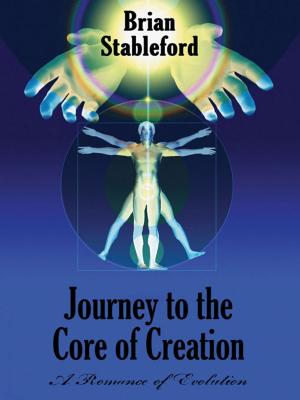 Cover of the book Journey to the Core of Creation: A Romance of Evolution by Mary Wickizer Burgess