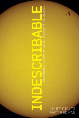 Book cover of Indescribable