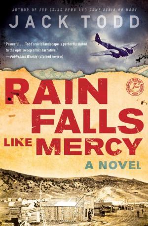 Cover of the book Rain Falls Like Mercy by Jo Ippolito Christensen