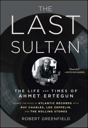 Book cover of The Last Sultan