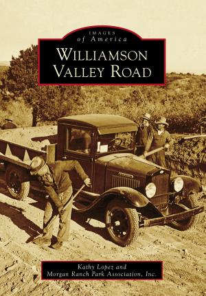 Cover of the book Williamson Valley Road by Dorothee Haering, Eva Bauer