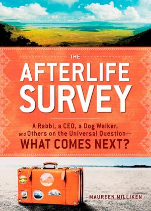 Cover of the book The Afterlife Survey by Ronald L Kotler, Maryann Karinch