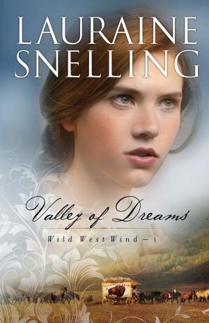 Book cover of Valley of Dreams (Wild West Wind Book #1)