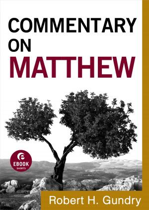 Cover of the book Commentary on Matthew (Commentary on the New Testament Book #1) by Ian Diorio