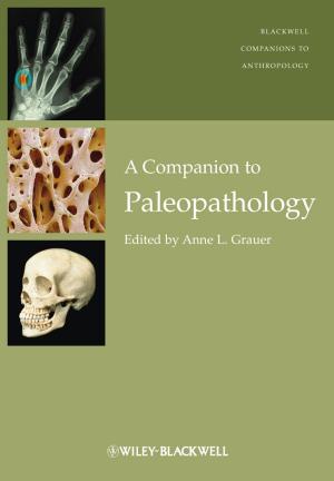 Cover of the book A Companion to Paleopathology by James Chen