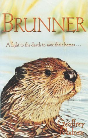 Cover of the book Brunner by Harriet Castor