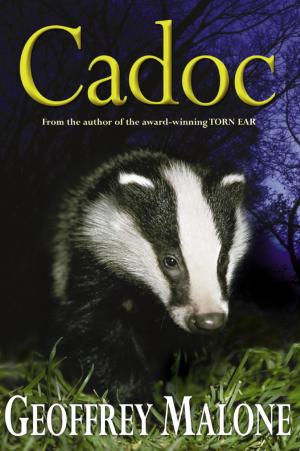 Cover of the book Stories from the Wild 7: Cadoc by David Melling