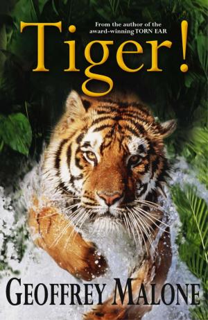 Cover of the book Stories from the Wild 8: Tiger by Giles Andreae