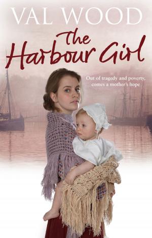 Book cover of The Harbour Girl