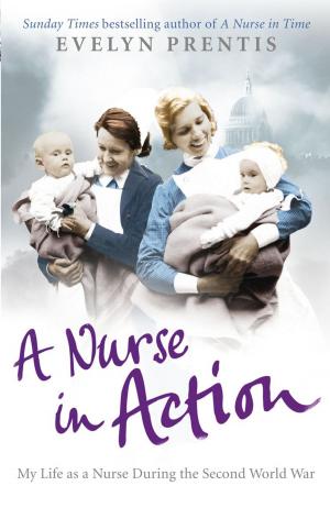 bigCover of the book A Nurse in Action by 
