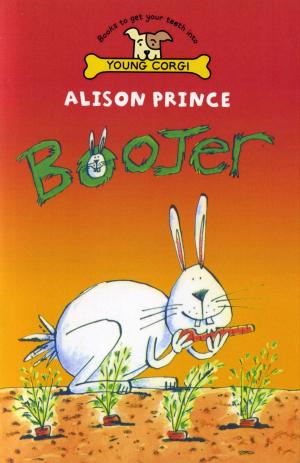 Cover of the book Boojer by Berlie Doherty