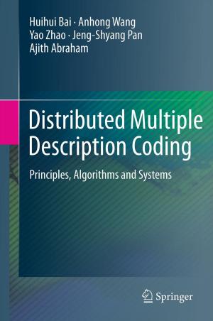Cover of the book Distributed Multiple Description Coding by Jorge Sousa Pinto, Maria João Frade, Simão Melo de Sousa, José Bacelar Almeida