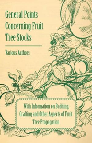 bigCover of the book General Points Concerning Fruit Tree Stocks - With Information on Budding, Grafting and Other Aspects of Fruit Tree Propagation by 