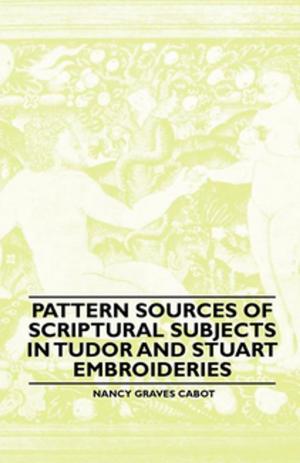 Book cover of Pattern Sources Of Scriptural Subjects In Tudor And Stuart Embroideries