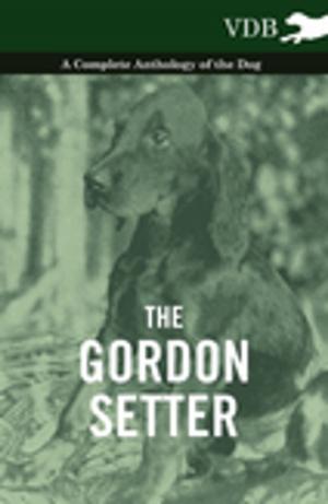 Cover of the book The Gordon Setter - A Complete Anthology of the Dog by Various