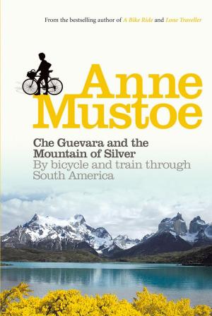 Cover of the book Che Guevara and the Mountain of Silver by Ainsley Harriott