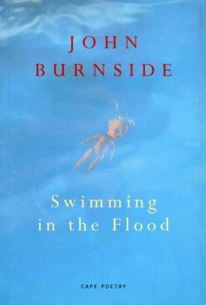 Book cover of Swimming In The Flood