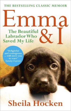 Cover of the book Emma and I by Stephen Barnett, David Tucker