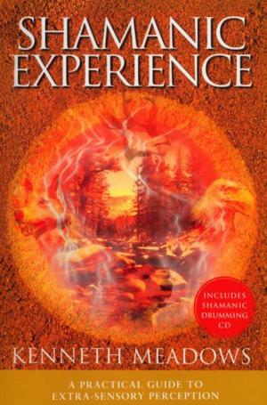 Cover of the book Shamanic Experience by Rachel S. Rose