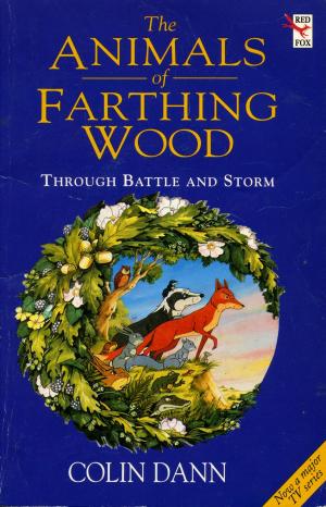 Book cover of Through Battle And Storm