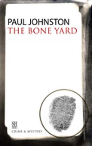 Cover of the book The Bone Yard by J.C. Hutchins