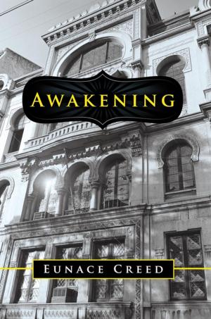 Cover of the book Awakening by Vicki L. Hellmund